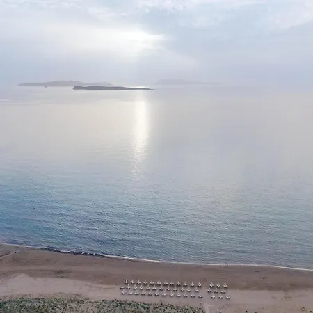 Kosmos St6 In Agios Stefanos آغيوس ستيفانوس