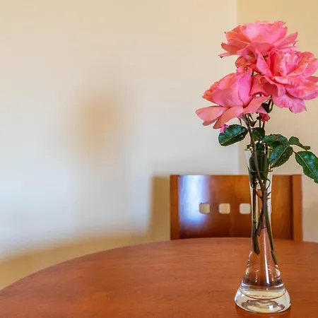Apartmanhotel Kosmos St6 In Agios Stefanos 4*